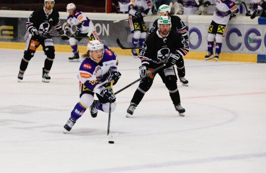 Eishockey-Team_Bild2