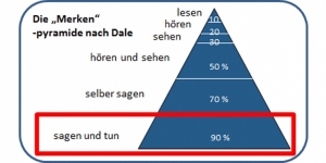 Grafik: Pyramide nach Dale